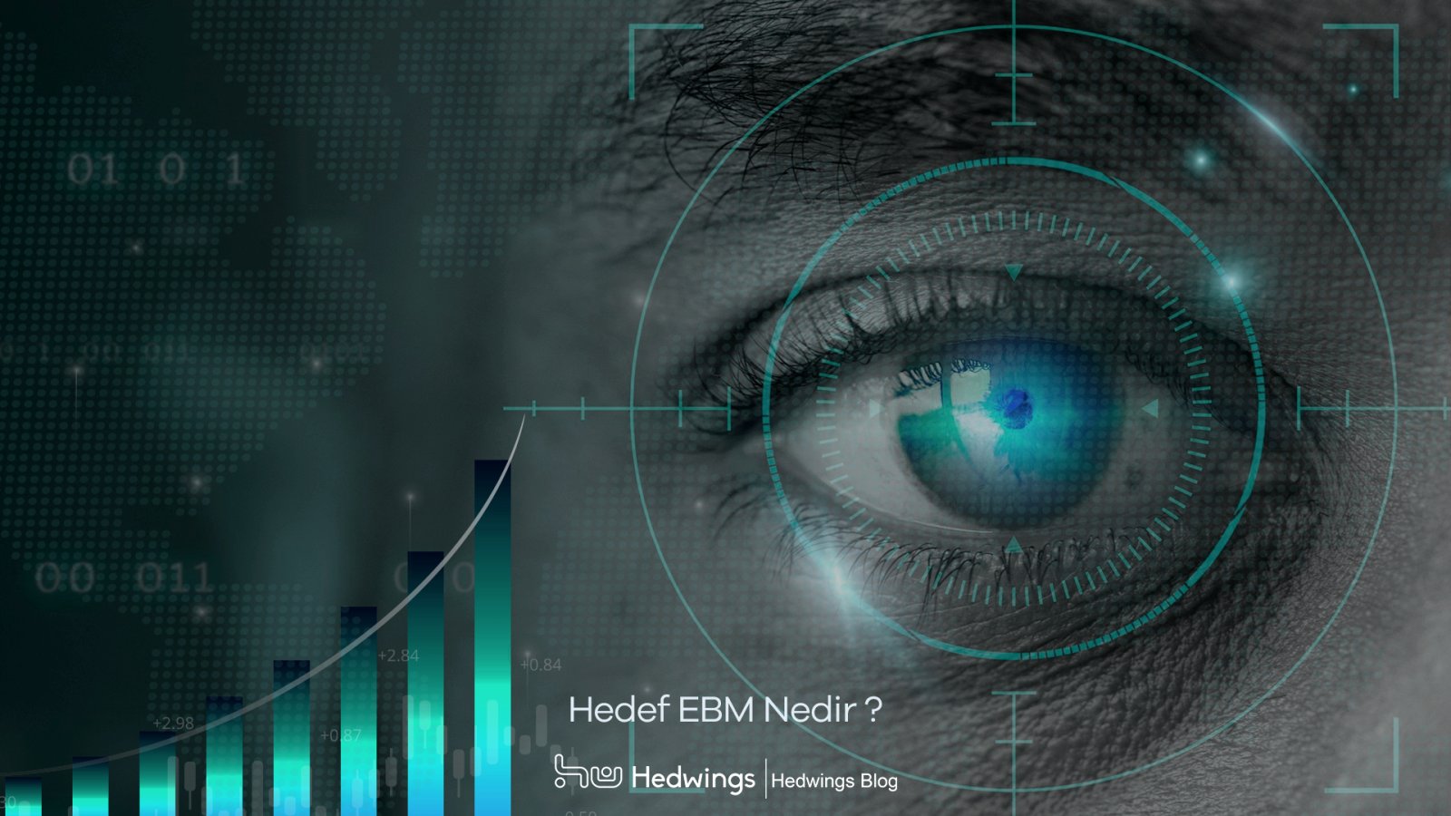 Hedef Ebm Nedir ?